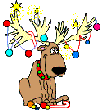 Christmas for joy!